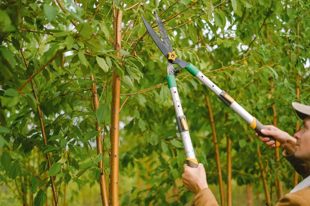 孝感新型墙材生产工艺流程及质量管控要点解析